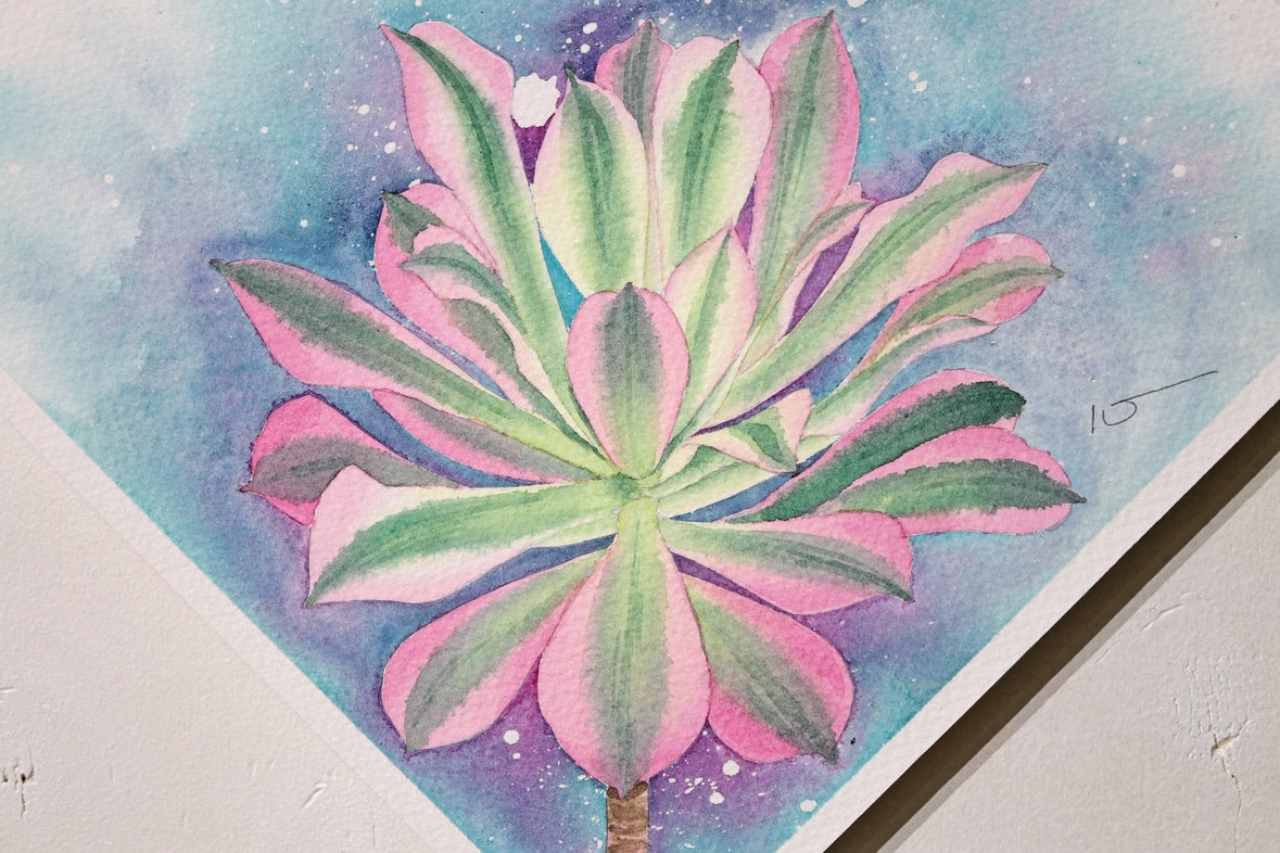 こころ作水彩画　原画★アエオニウム　20×20cm