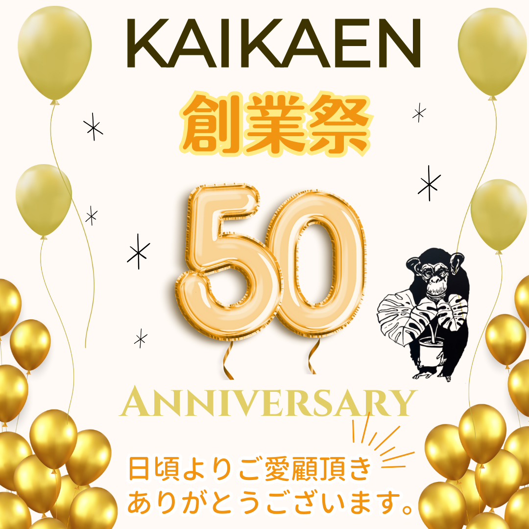 創業50周年、感謝を込めて！ブランド陶器鉢からフラワースタンドまで特別価格で販売！！