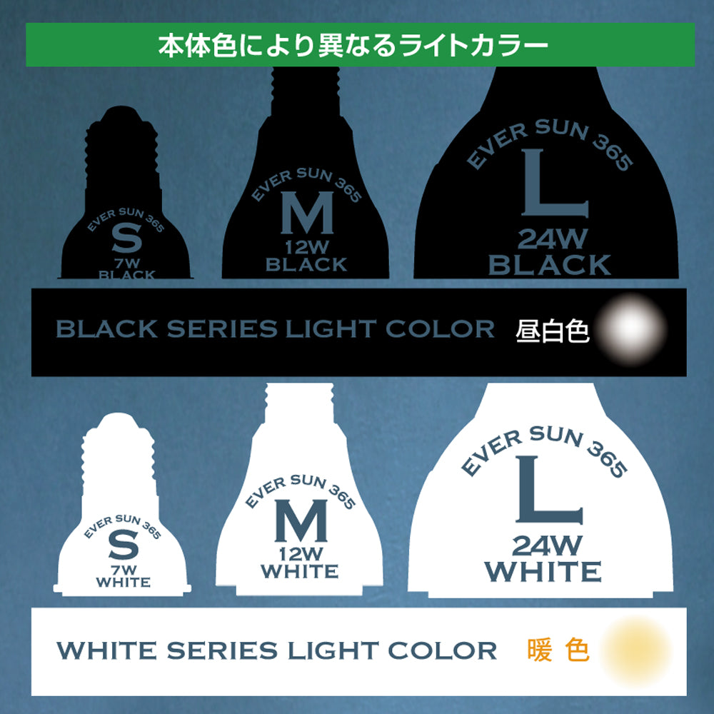 エバーサン365　ブラック　M(12W)　昼白色