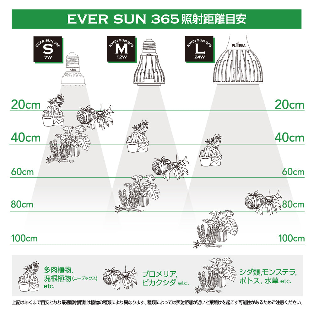エバーサン365　ブラック　M(12W)　昼白色