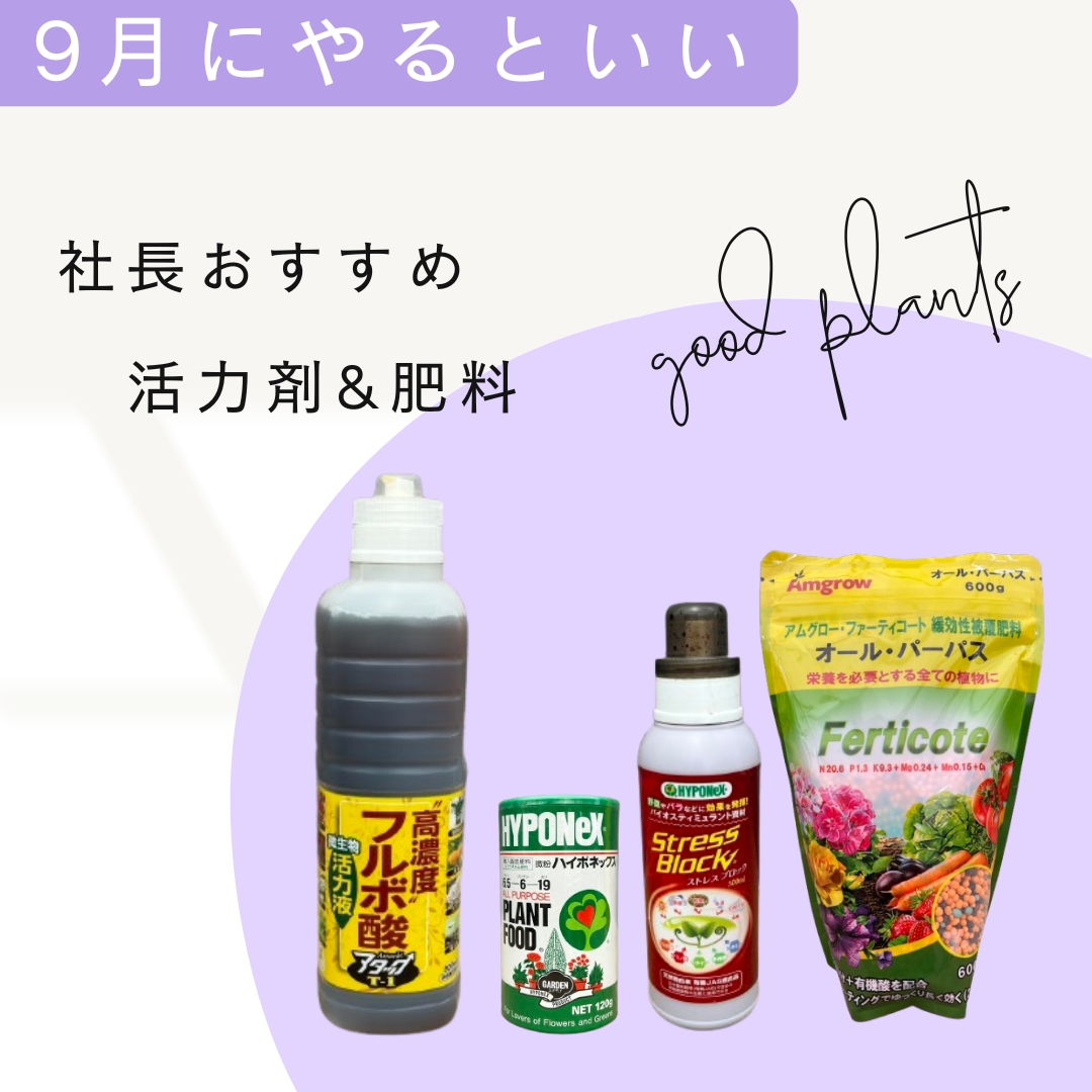 社長おすすめ！植物を強くする活力剤&肥料を室内用と屋外用に分けてセット販売！！