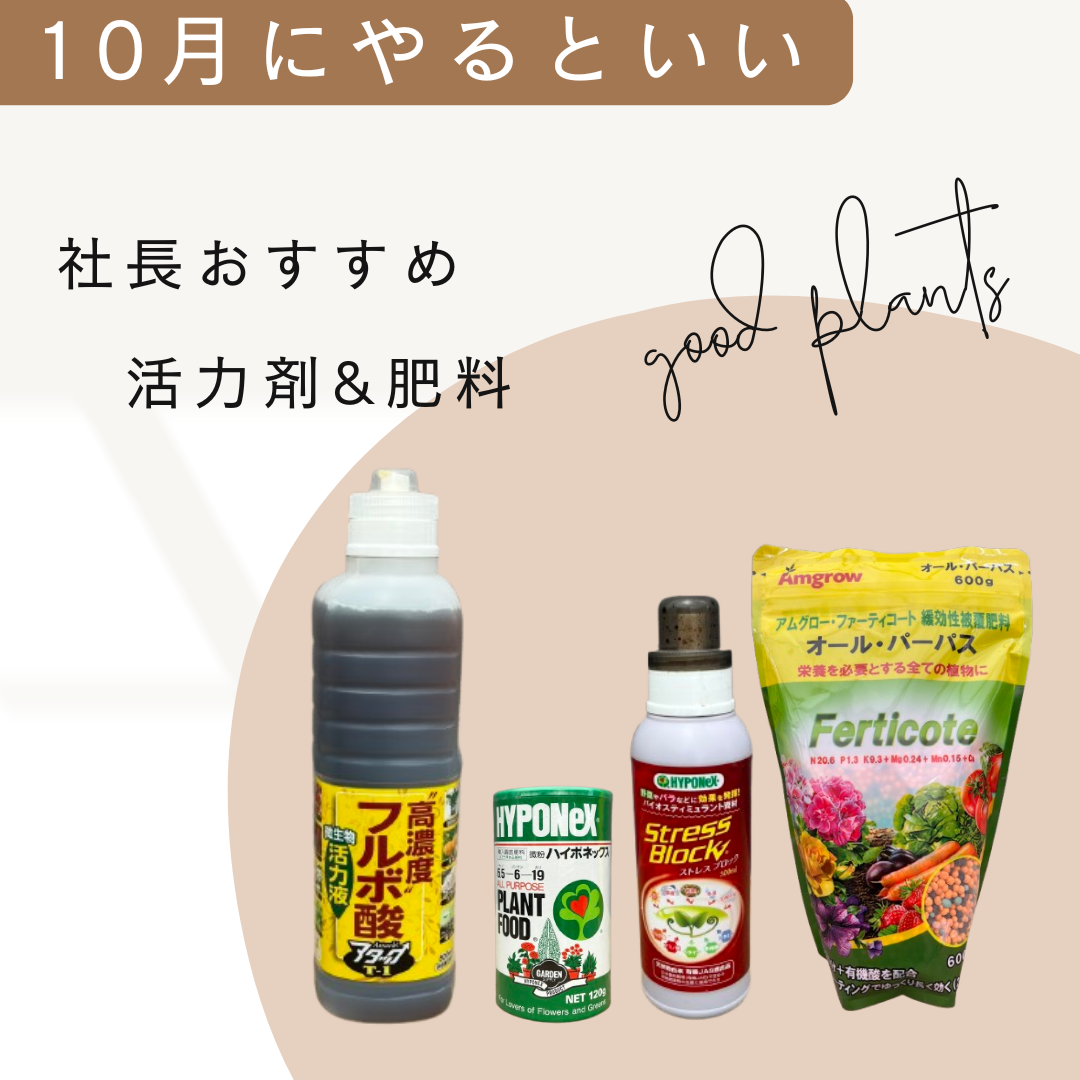 社長おすすめ！植物を強くする活力剤&肥料を室内用と屋外用に分けてセット販売！！
