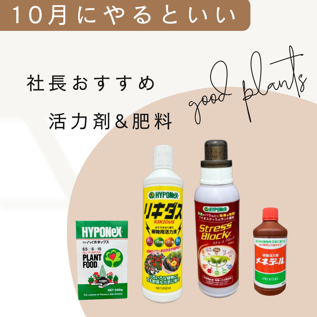 社長おすすめ！植物を強くする活力剤&肥料を室内用と屋外用に分けてセット販売！！