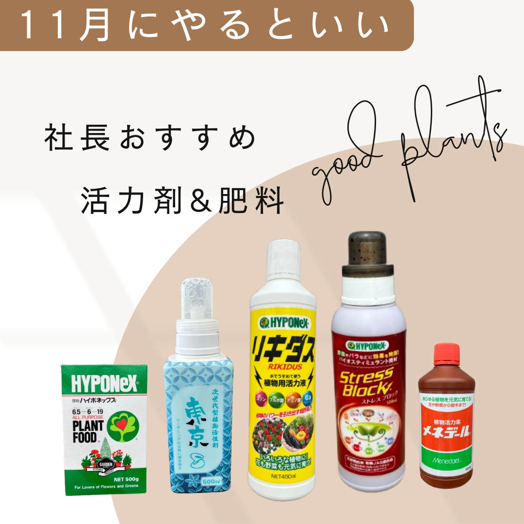 社長おすすめ！植物を強くする活力剤&肥料を室内用と屋外用に分けてセット販売！！