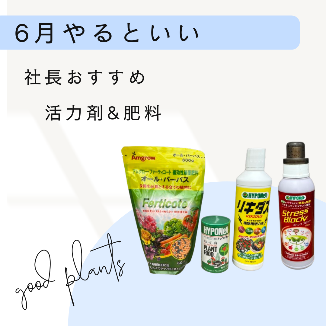 社長おすすめ！植物を強くする活力剤&肥料を室内用と屋外用に分けてセット販売！！