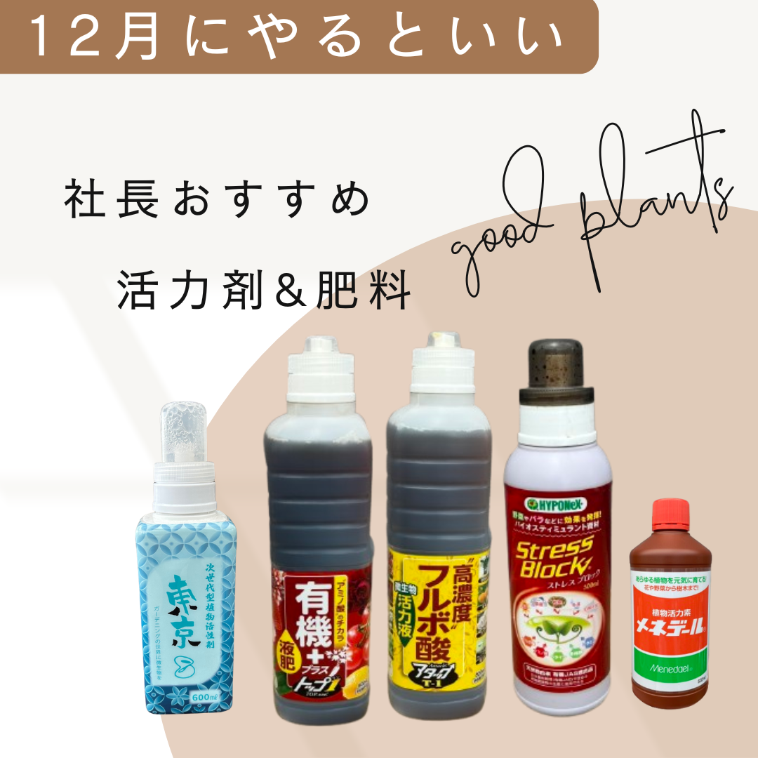 社長おすすめ！植物を強くする活力剤&肥料を室内用と屋外用に分けてセット販売！！
