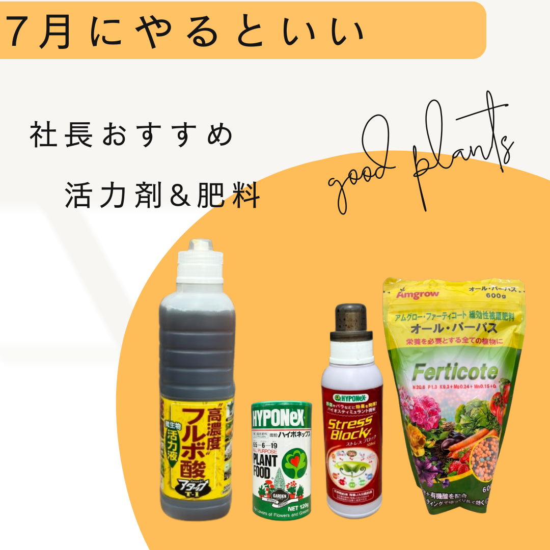 社長おすすめ！植物を強くする活力剤&肥料を室内用と屋外用に分けてセット販売！！