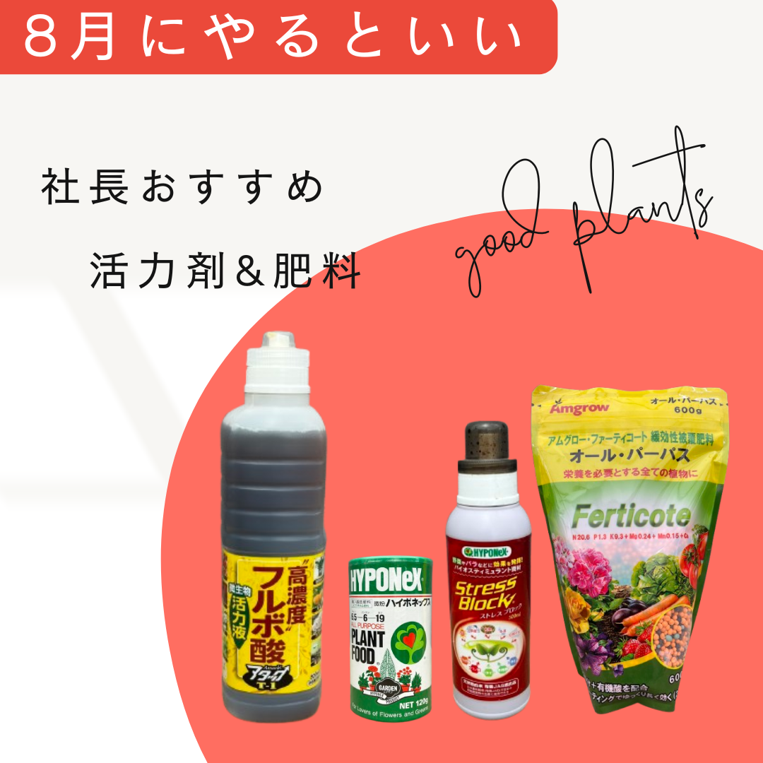 社長おすすめ！植物を強くする活力剤&肥料を室内用と屋外用に分けてセット販売！！