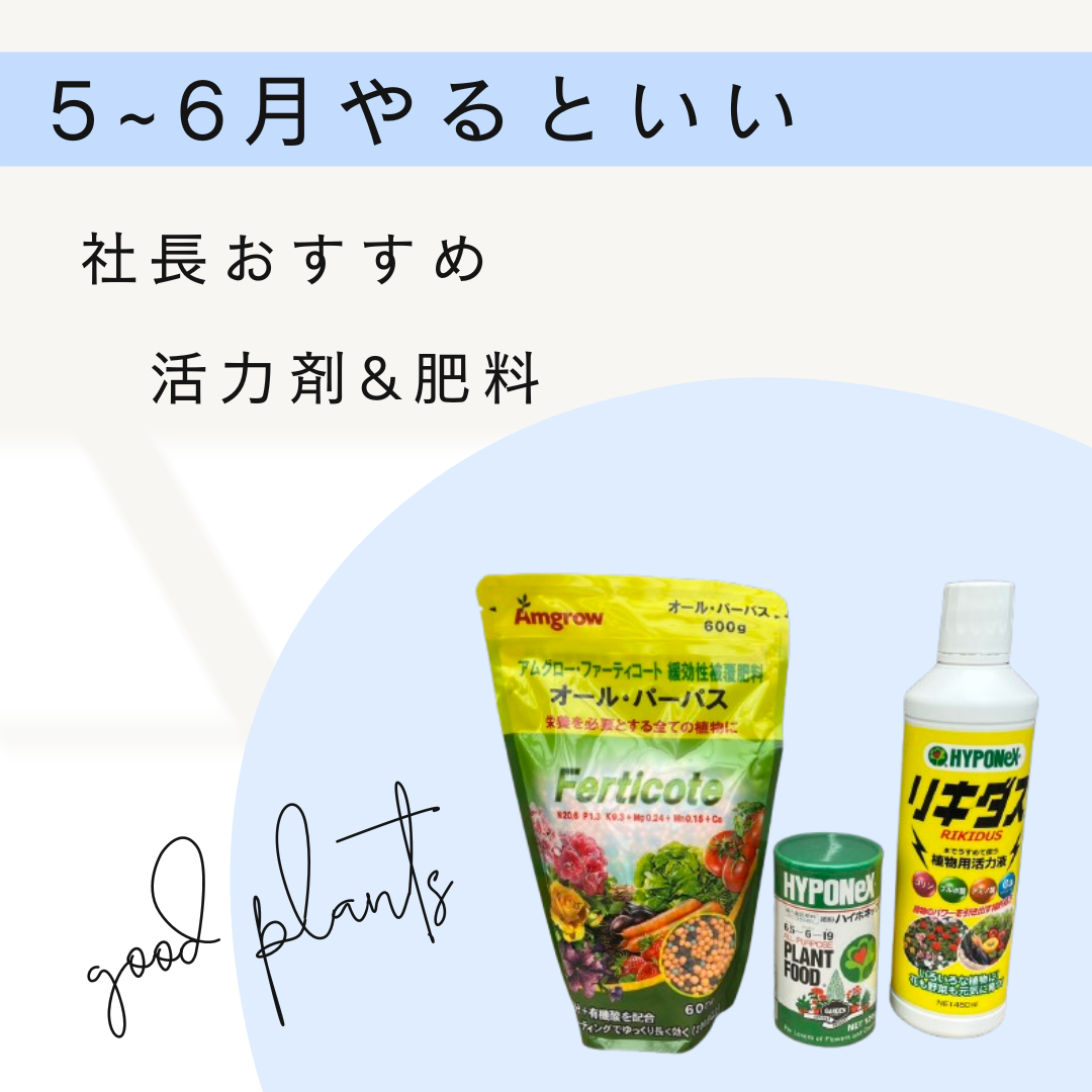 社長おすすめ！植物を強くする活力剤&肥料を室内用と屋外用に分けてセット販売！！
