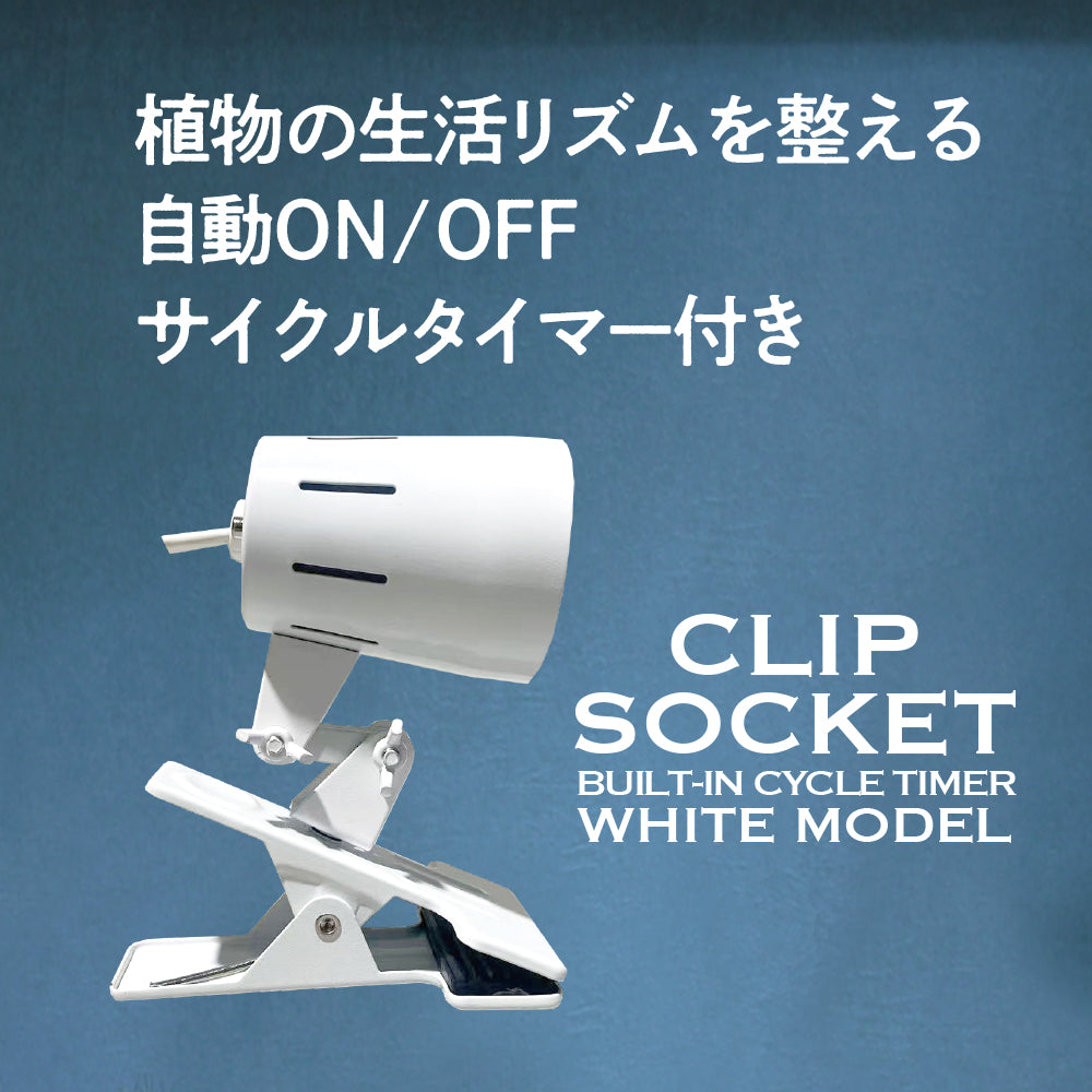 クリップソケット　ホワイト