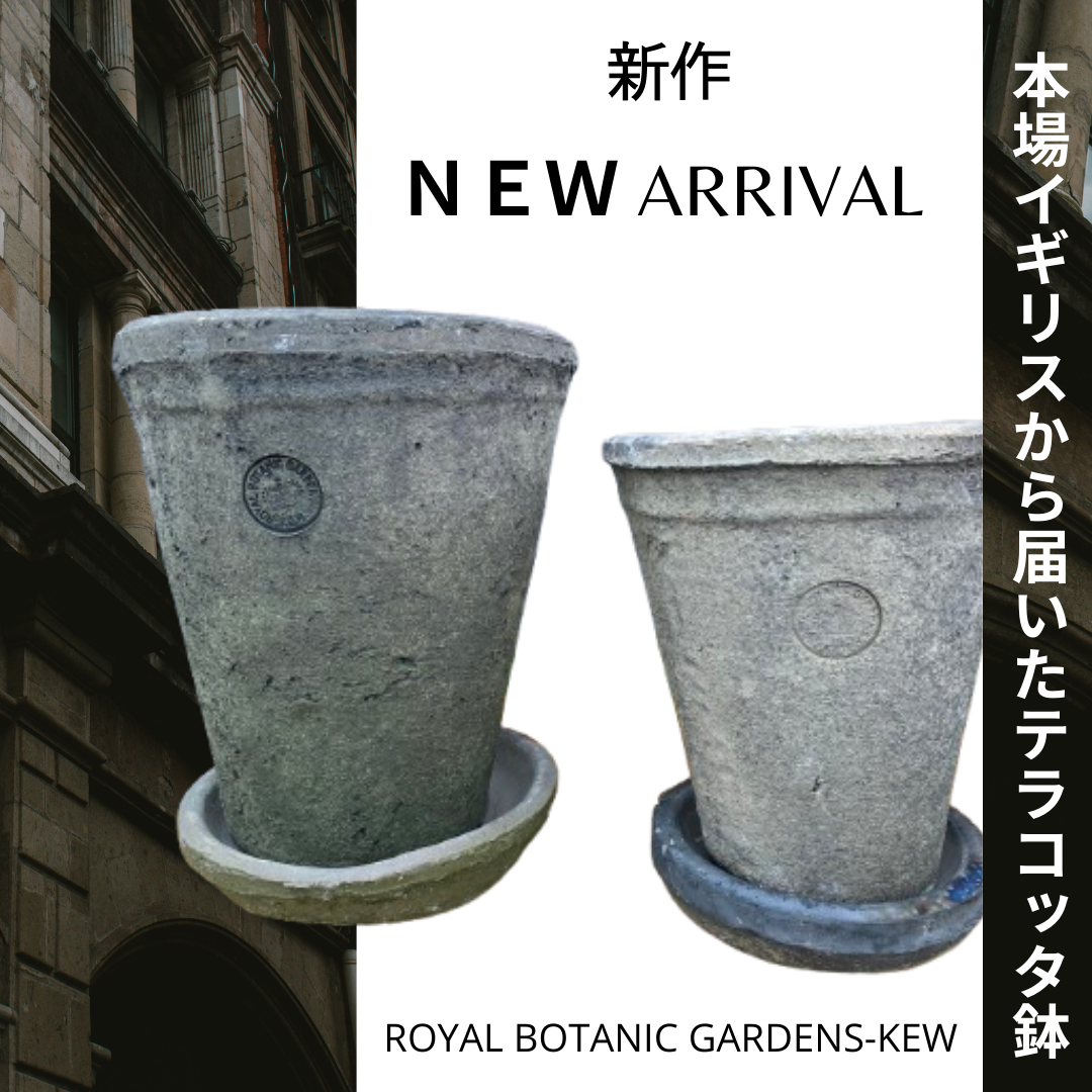 社長大絶賛！！英国王立植物園キューガーデン公認ポット入荷しました！