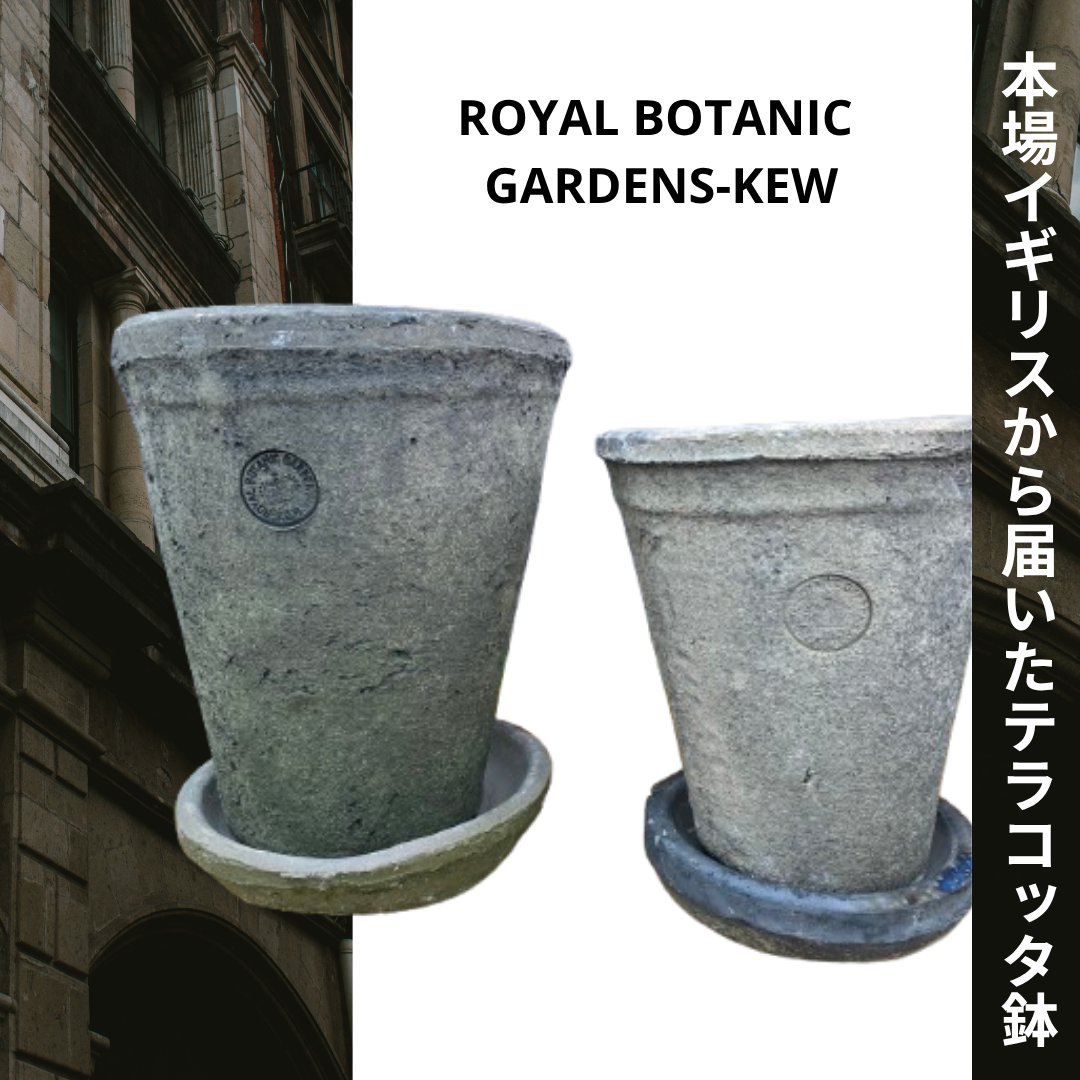 【期間限定30％OFF】社長大絶賛！！英国王立植物園キューガーデン公認ポット！通気性抜群★球根植物にも似合うこと間違いなし！！