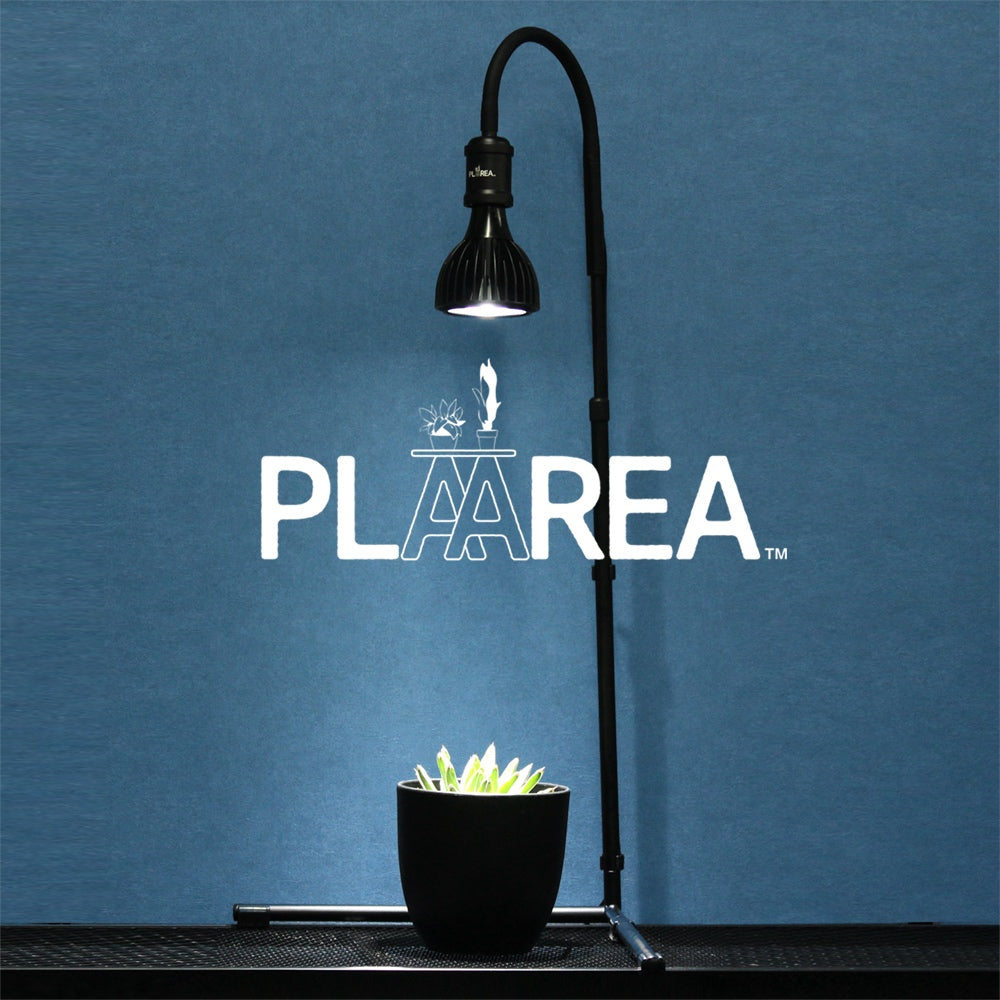 Pickup 全ての商品 – 植物家族