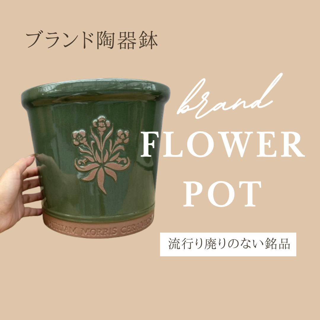 世界各国からこだわり集めた歴史あるブランド陶器鉢