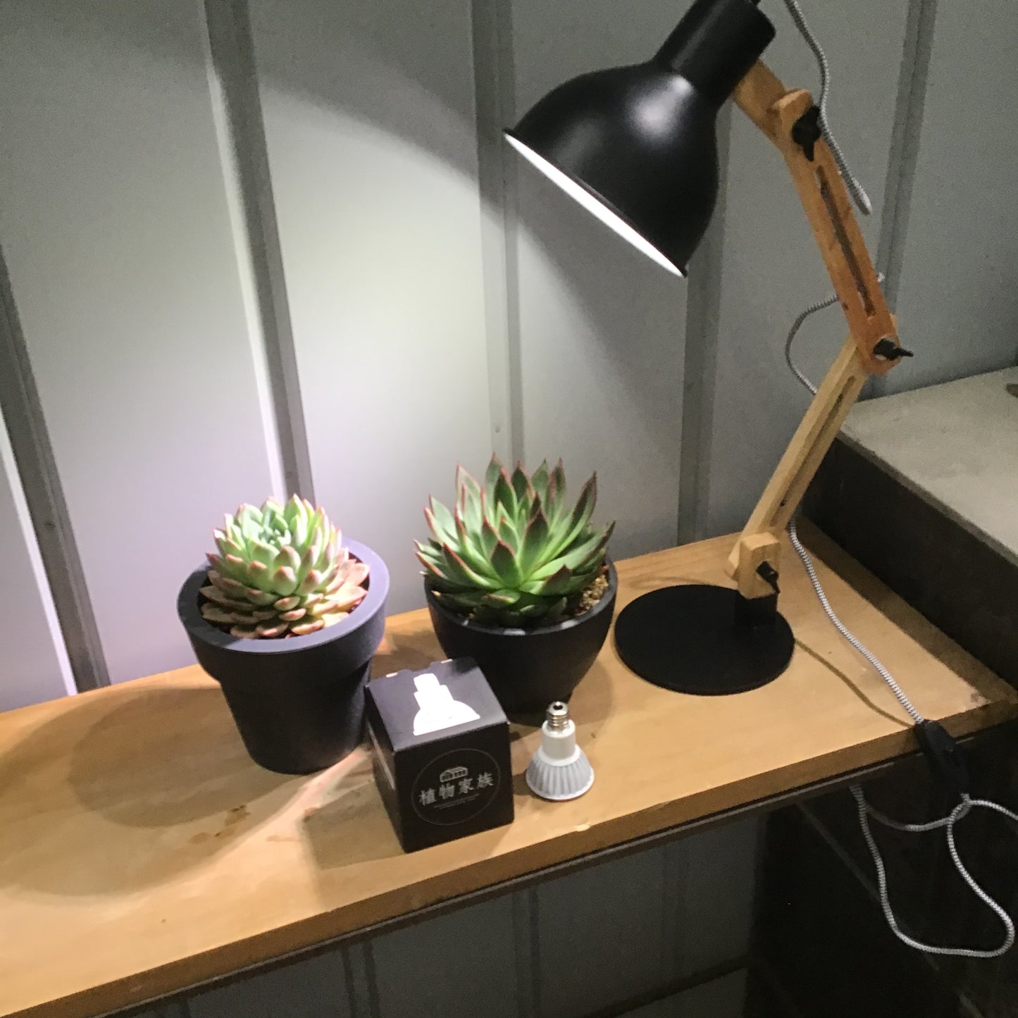 ★NEW　観葉植物（ミニ観葉・多肉・小型植物全般）専用 LED育成ライト　WHITE