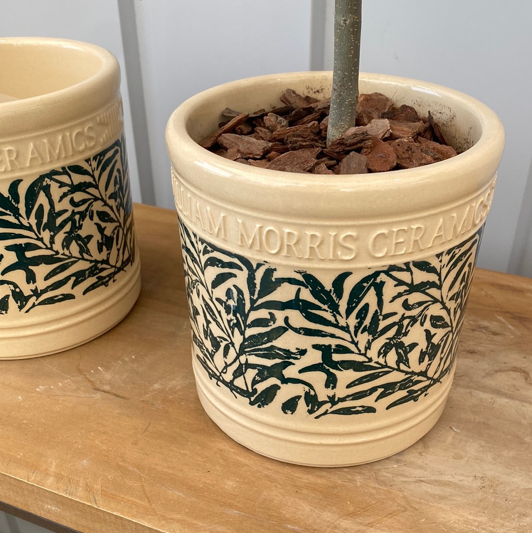 WilliamMorris pot /  英国デザイナー ウイリアムモリス陶器鉢 グリーン【Sサイズ】