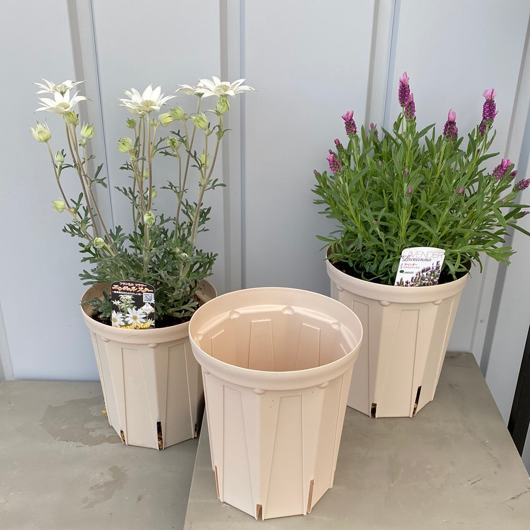 鉢　特殊なオリジナル鉢 楽天市場】植木鉢 大型 インナーポット付き おしゃれ 人気