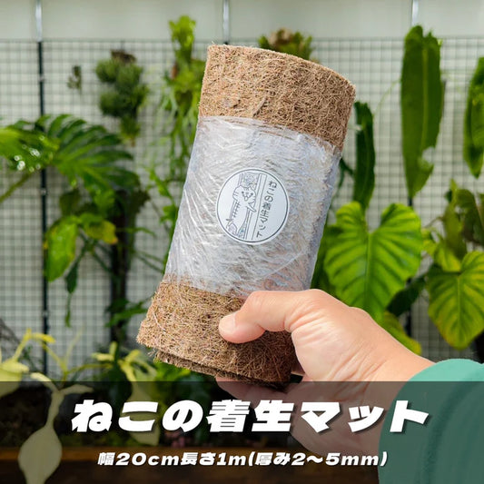 ねこの着生マット(幅20cm 長さ1m 厚み2～5ｍｍ)