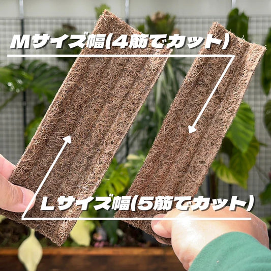 ねこの着生マット(幅20cm 長さ1m 厚み2～5ｍｍ)