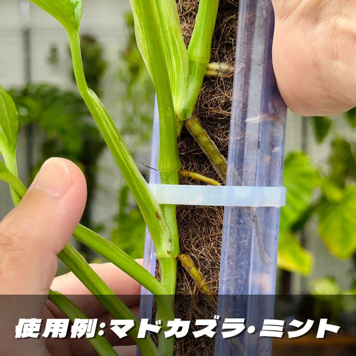 ねこ型登り棒（50㎝タイプ）セット（ねこチップ・ねこの着生マット付）